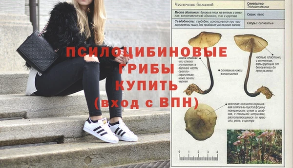 бутират Новодвинск