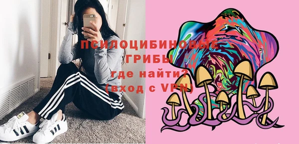 ALPHA-PVP Новозыбков