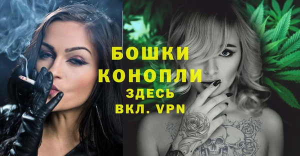 ALPHA-PVP Новозыбков