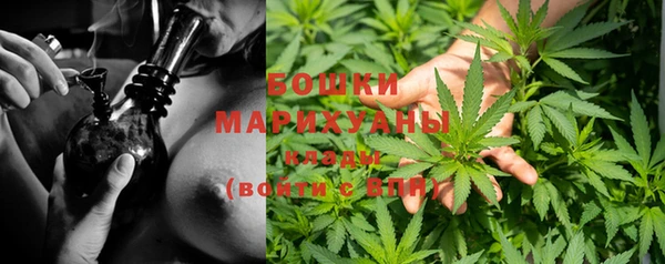 прущие крисы Новокубанск