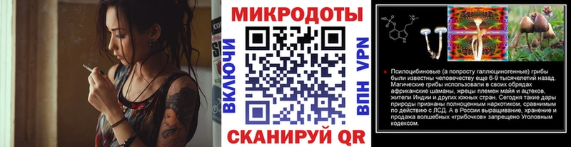 Галлюциногенные грибы MAGIC MUSHROOMS  закладка  Кузнецк 
