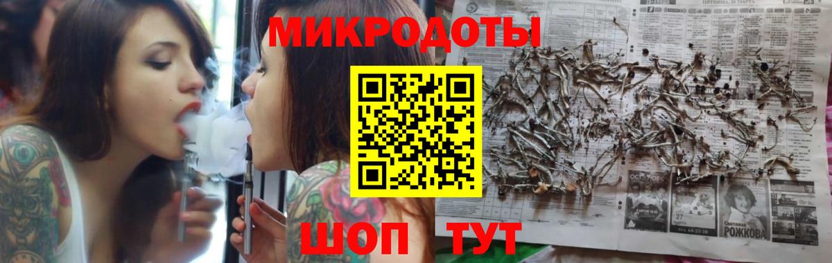 Галлюциногенные грибы Psilocybe  Вход с VPN  Кузнецк 